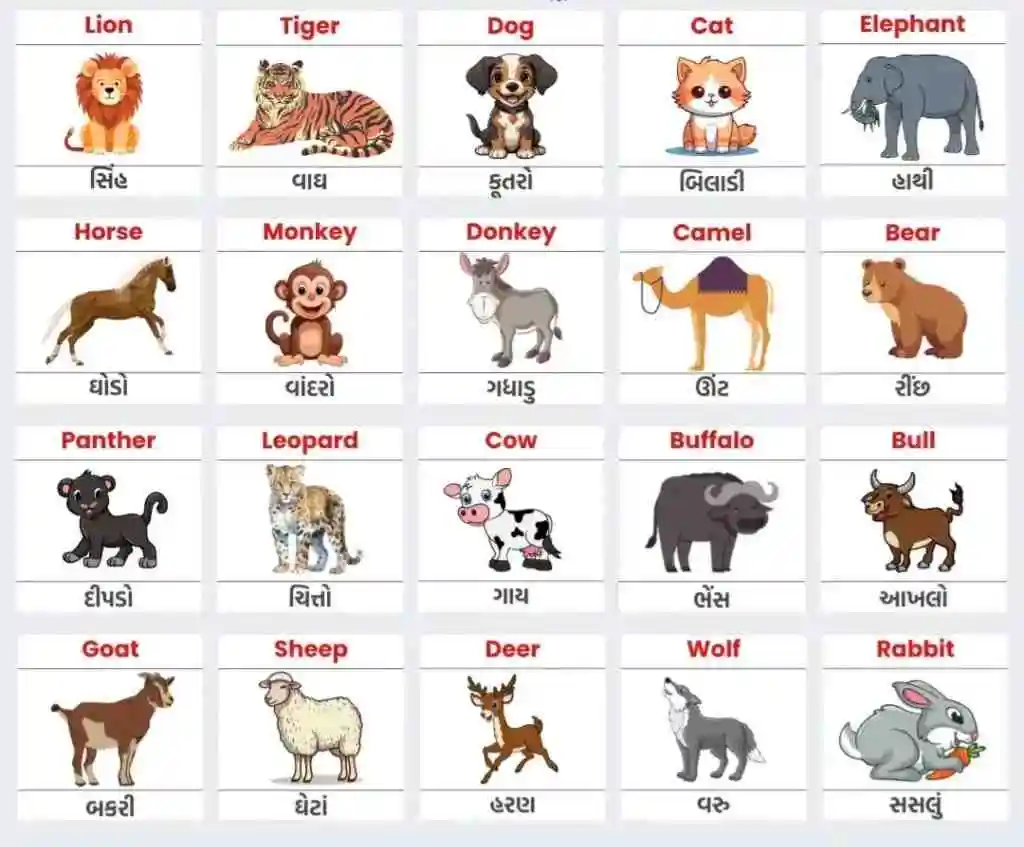 Animals Name In Gujarati And English Animals Name In Gujarati And English