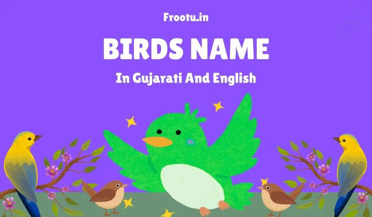 70+ પક્ષીઓ ના નામ | Birds Name in Gujarati and English