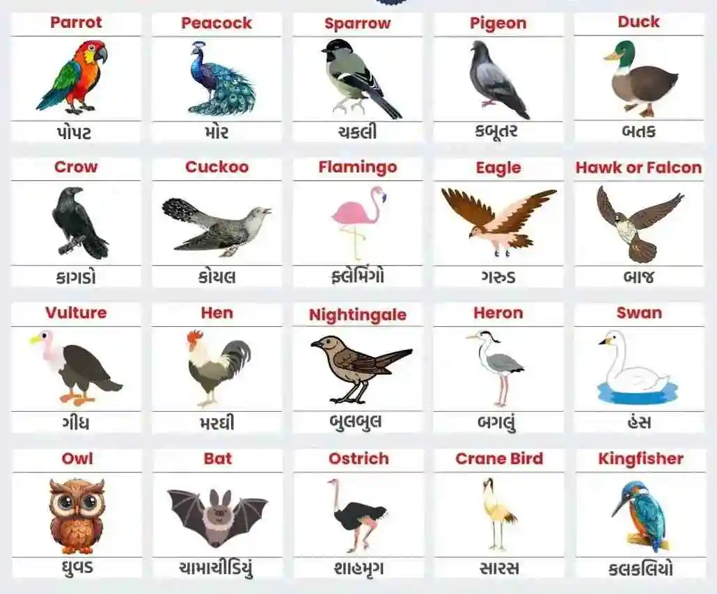 70+ પક્ષીઓ ના નામ (Birds Name in Gujarati and English) 70+ પક્ષીઓ ના નામ (Birds Name in Gujarati and English)