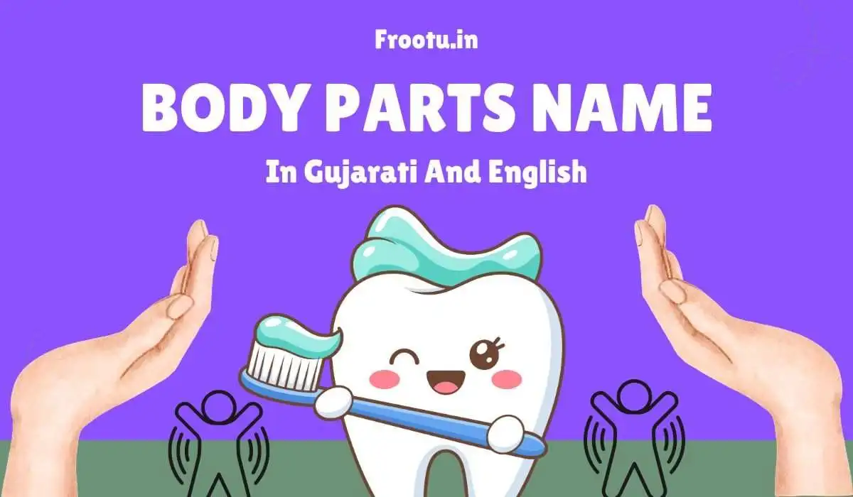 શરીરના અંગોના નામ | Body Parts Name In Gujarati and English