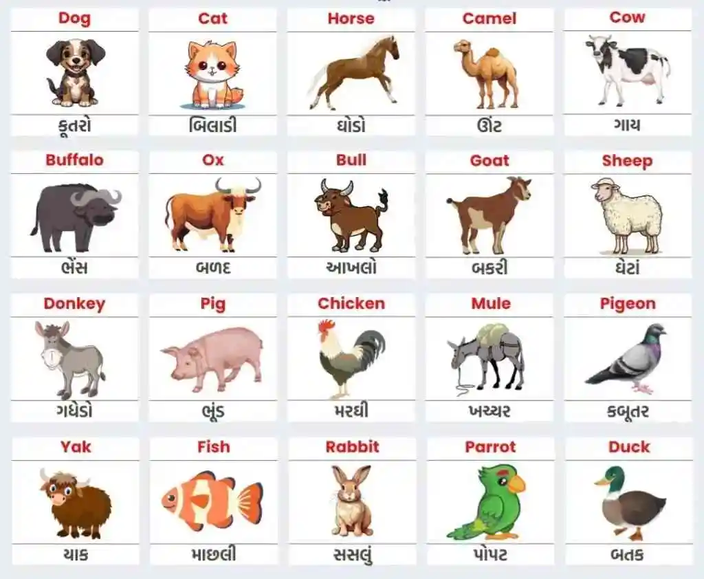Domestic Animals Name Domestic Animals Name