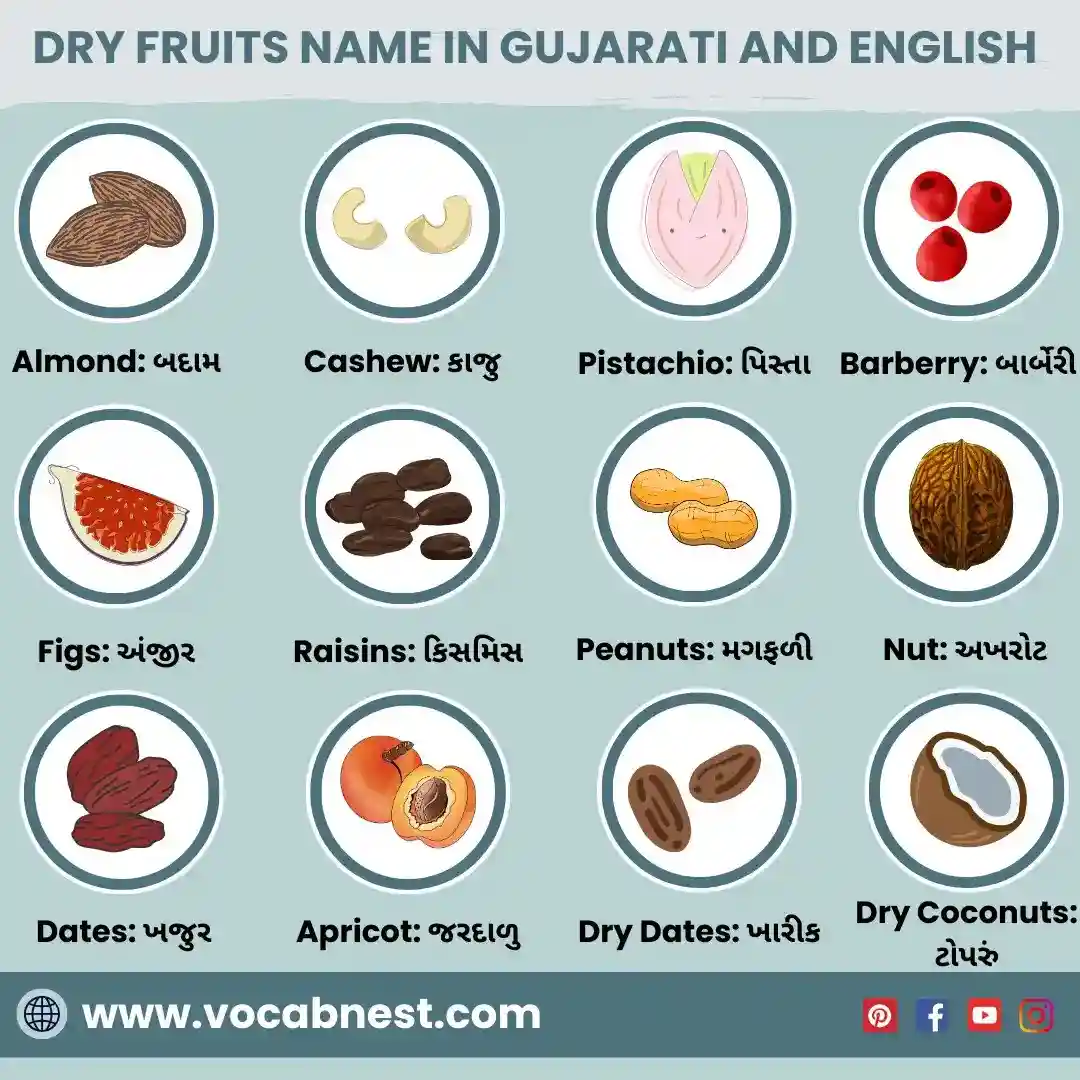 Dry fruit name photo frootu Dry fruit name photo frootu