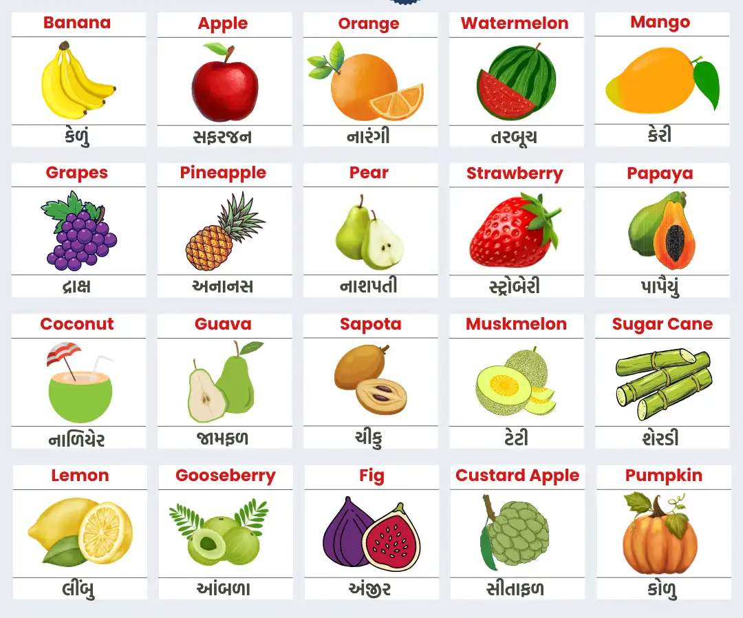 Fruits name in gujarati photo