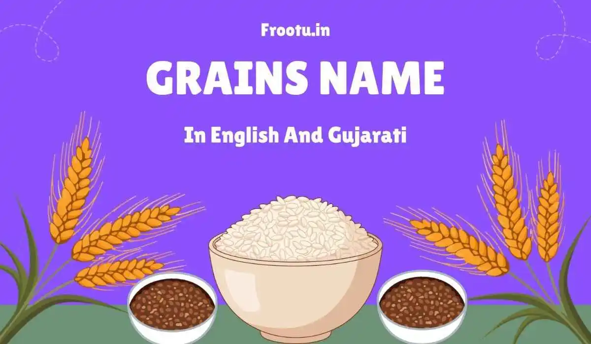 50+ અનાજ ના નામ | Grains Name in Gujarati and English