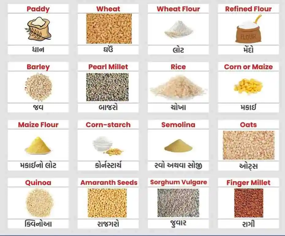 અનાજના નામ ફોટા સાથે (Grains Name With Image) અનાજના નામ ફોટા સાથે (Grains Name With Image)