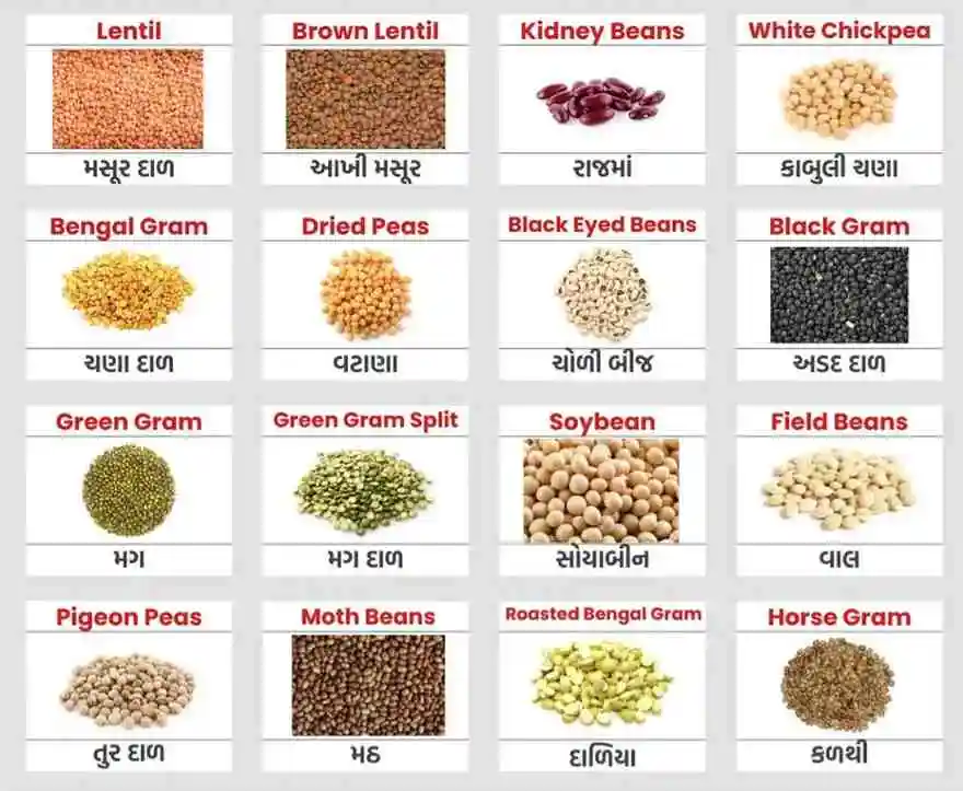 Pulses and Lentils Name in Gujarati Pulses and Lentils Name in Gujarati