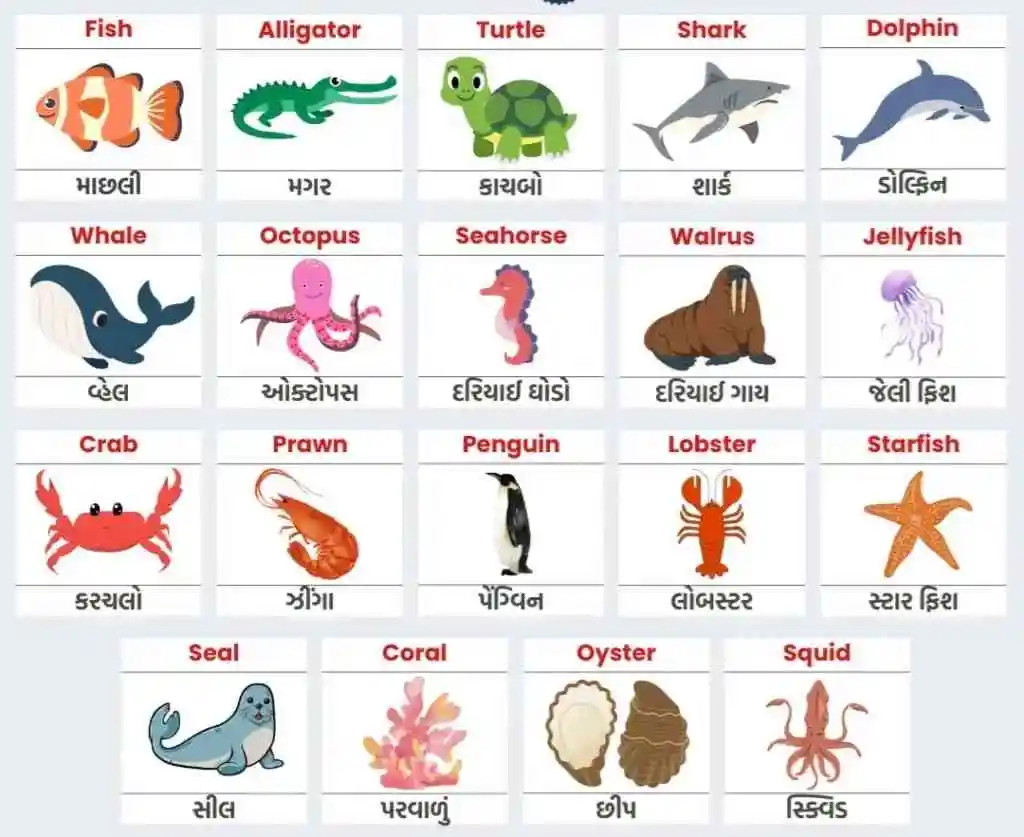 Water Animals name Water Animals name