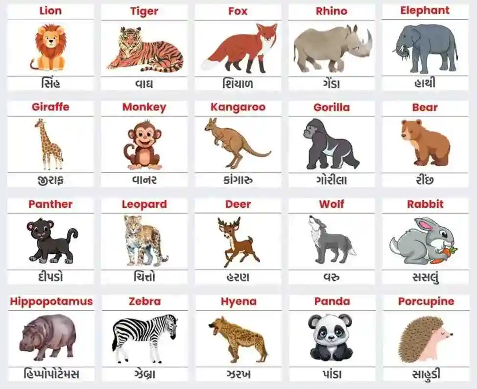 Wild Animals name Wild Animals name