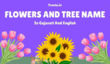 70+ ફૂલો ના નામ અને ફોટો | Flowers Name in Gujarati and English